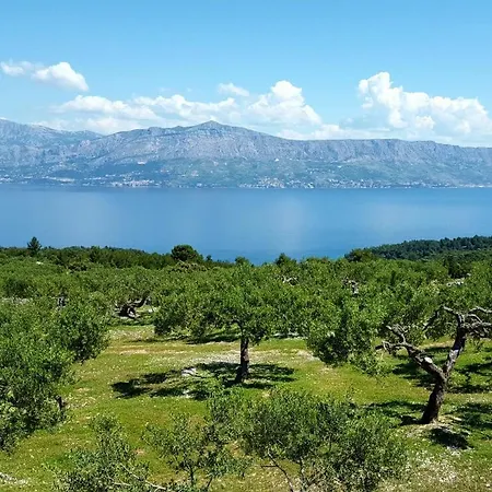 Secluded Family Friendly House Cove Ducac, Brac - 14312 Holiday home